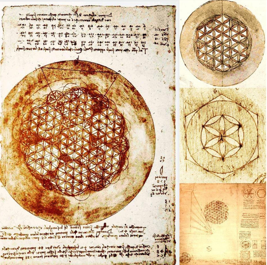 The Harmonic Blueprint: Unlocking the Divine Matrix