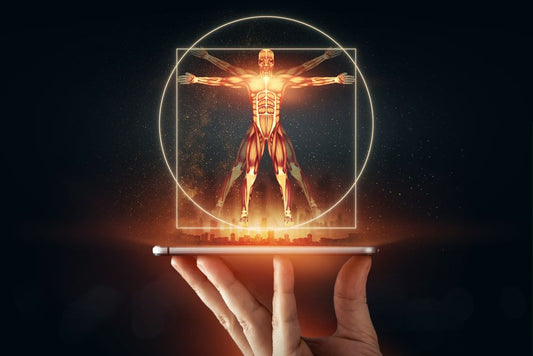 The Holographic Vision: Perception as the Architect of Reality